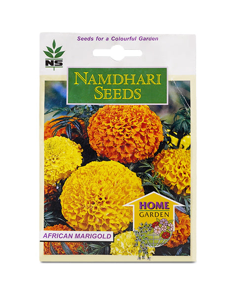 NS African Marigold Seeds