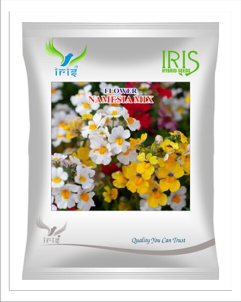 Iris Hybrid Imported OP Namesia Mix