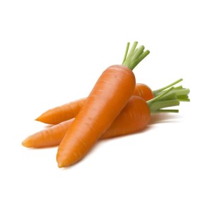 URJA CARROT NANTES IMPORTED