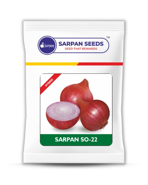 SARPAN SO - 22 ONION SEEDS