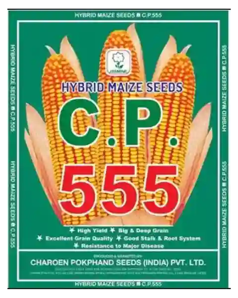 MAIZE-CP-555