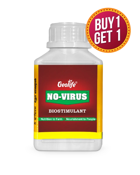 No Virus Bio Viricide - Buy 1 Get 1 Free