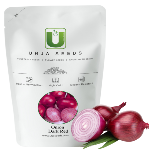 URJA RED CREOLE ONION SEEDS