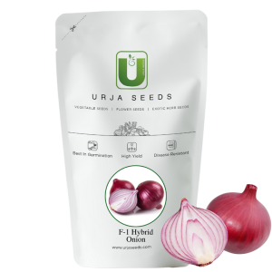 URJA KALYANI - ONION SEEDS