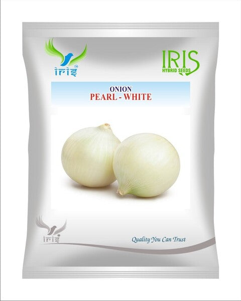 Iris OP ONION PEARL WHITE