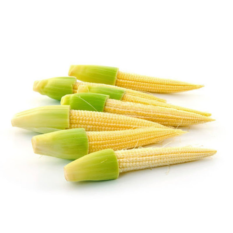 URJA - BABY CORN-ORION SEEDS