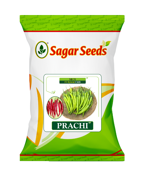 Sagar Prachi F1 Chilli