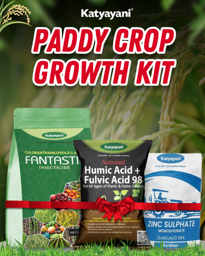 KATYAYANI PADDY CROP GROWTH KIT