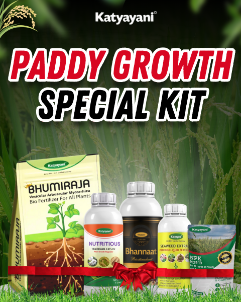 KATYAYANI PADDY GROWTH SPECIAL KIT