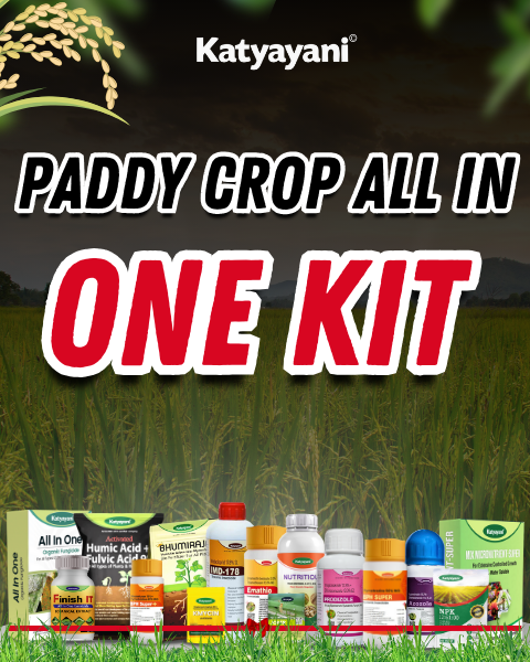 KATYAYANI PADDY CROP ALL-IN-ONE COMBO