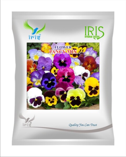 Iris Hybrid Imported OP Pancy Mix