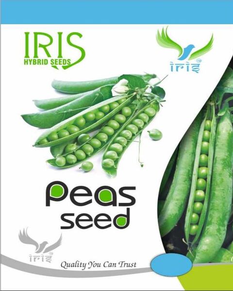 Iris OP PEAS IR-10 SEEDS