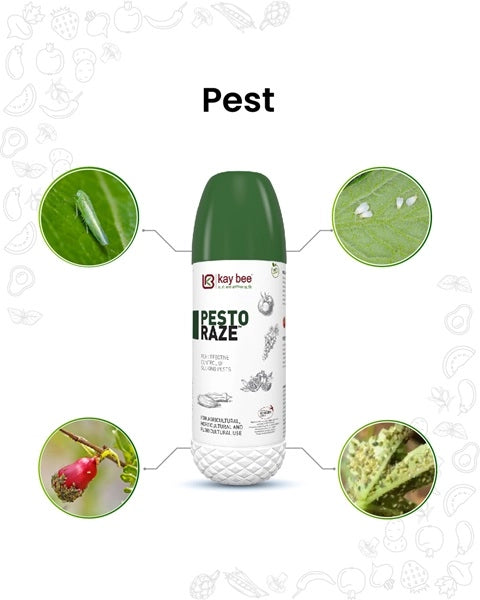 Pesto Raze Bio Pesticide