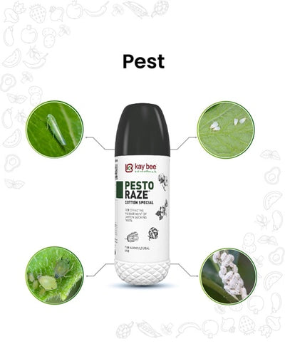 KAYBEE PESTO RAZE INSECTICIDE