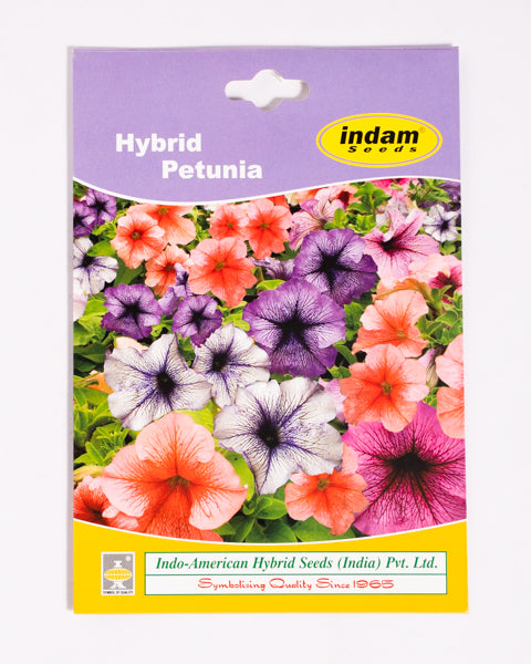 IAHS PETUNIA DADDY MIX