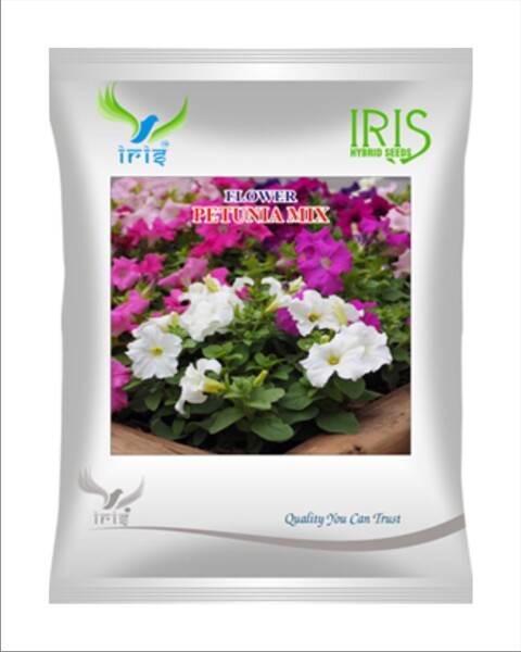 Iris Hybrid Imported OP Petunia Mix