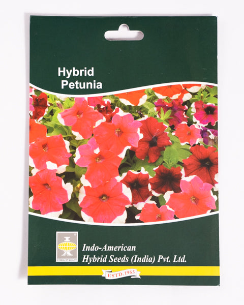 IAHS PETUNIA DREAM PICOTEE MIX