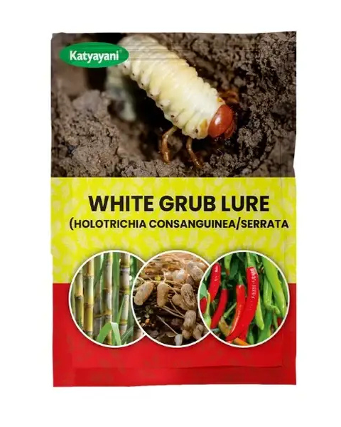 Katyayani White Grub Lure