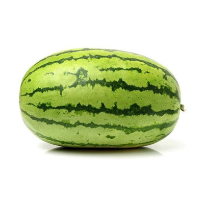 URJA US-777 - WATERMELON F-1 HYBRID SEEDS