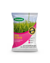 Katyayani NPK 19:19:19 Water Soluble Fertilizer – Balanced Nutrition for Fast Crop Growth