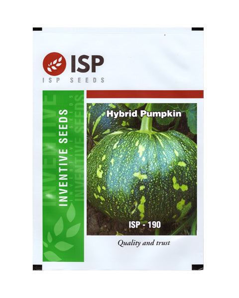 ISP190 PUMPKIN - GREEN SKIN