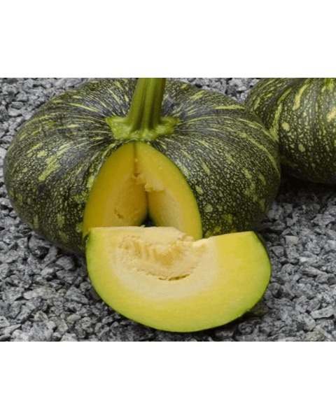 Indam Rustum Pumpkin Seeds