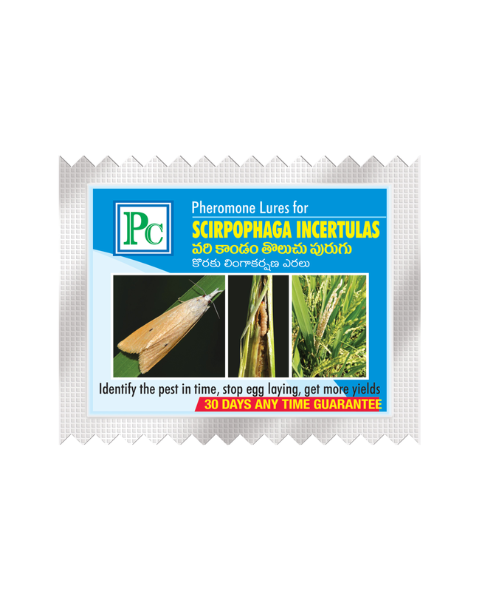 Buy Pheromone Replacement Lures for Scriphophaga incertulas (Paddy Stem ...