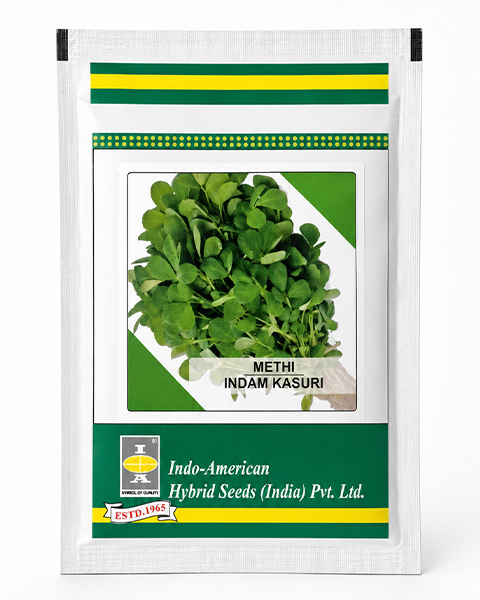 Indam Kasuri Methi (OP) 100 seeds/pkt Fenugreek Seeds