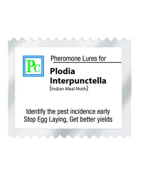 Pheromone Replacement lures for Plodia interpunctella  - 10pack