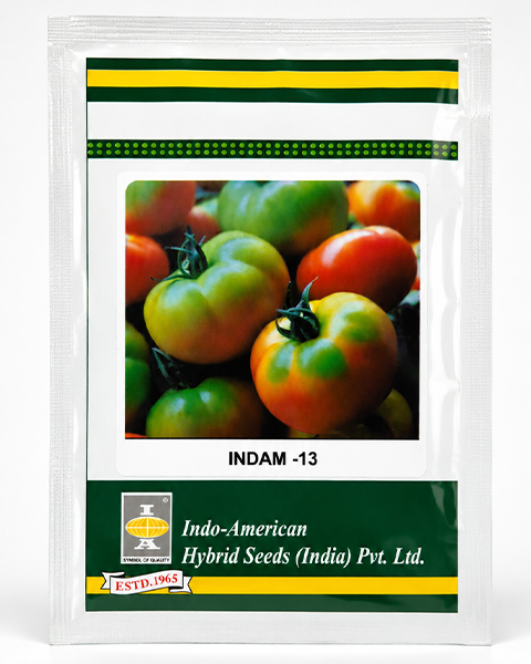 Indam 13 (OP) 50 seeds/pkt Tomato Seeds