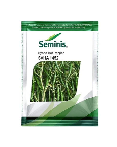 SVHA1452 Hot Pepper F1 Hybrid Seeds