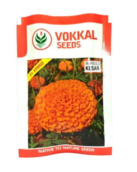 Vokkal KESAR Marigold Seeds