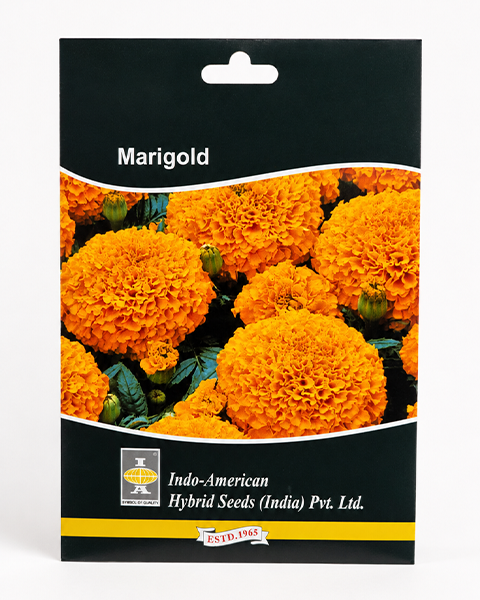 Indam Marvel Orange 10 seeds/pkt Marigold Seeds