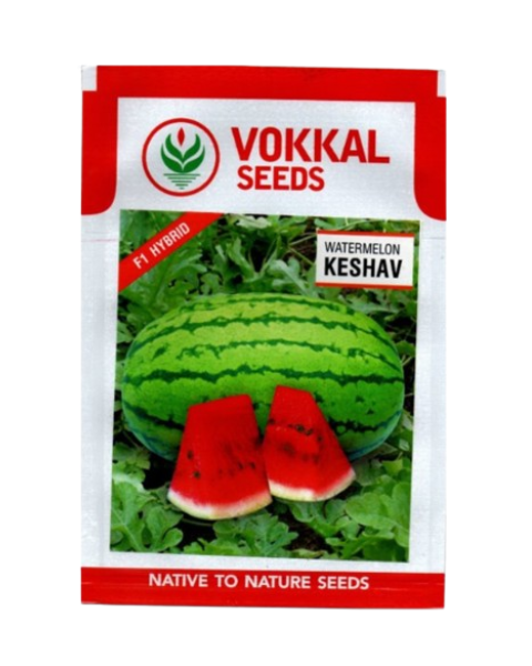 VOKKAL - KESHAV - Watermelon