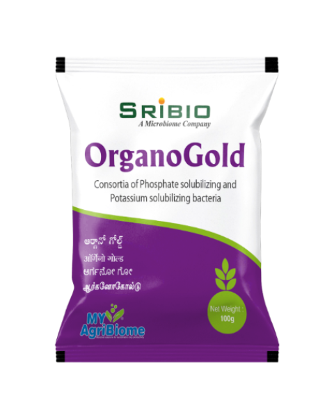 SRIBIO ORGANO GOLD