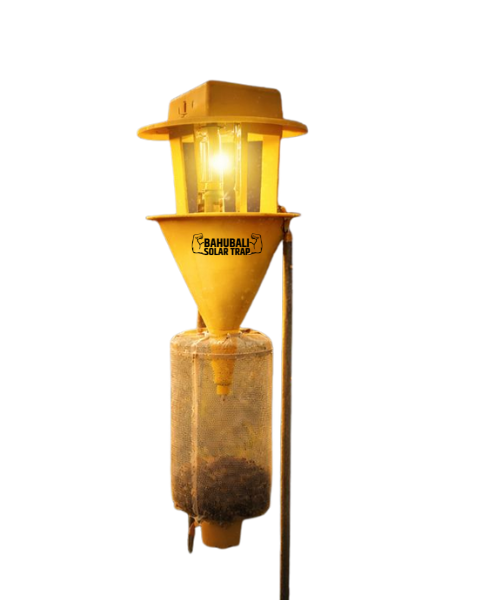 Chipku Bahubali Solar Trap