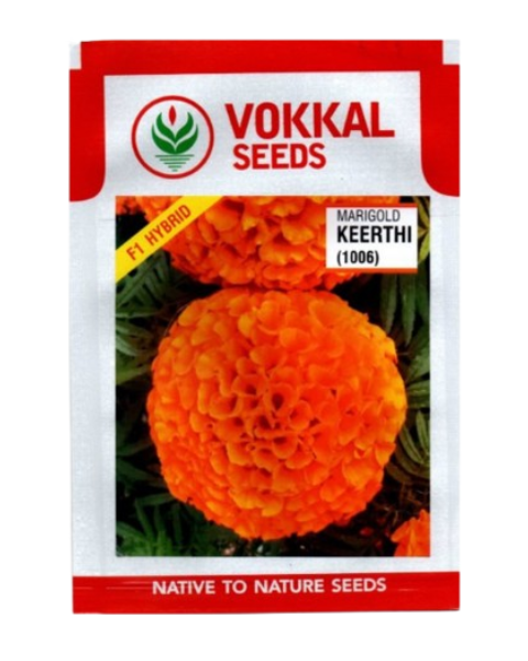 VOKKAL - KEERTHI - Marigold
