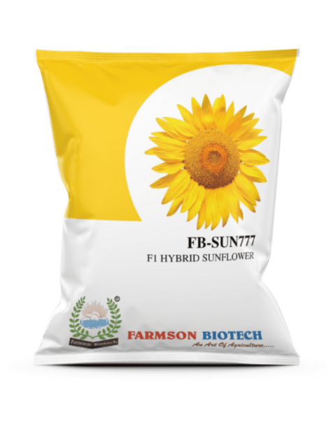 FB SUN777 F1 Hybrid (Buy 1 Get 1 Free) Sunflower Seeds