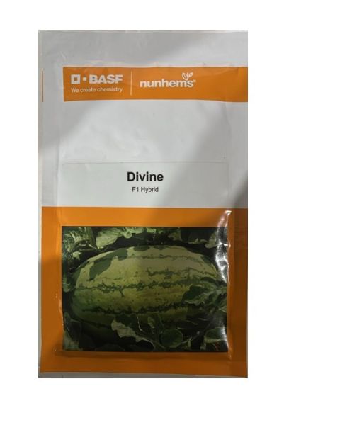 Pakeeza Watermelon Seeds – High-Yielding Variety with Fruits 8–10 Kg, Sweet Red Flesh