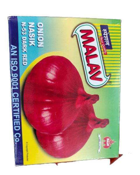 MALAV SPECIAL NASIK DARK RED N53 - Onion