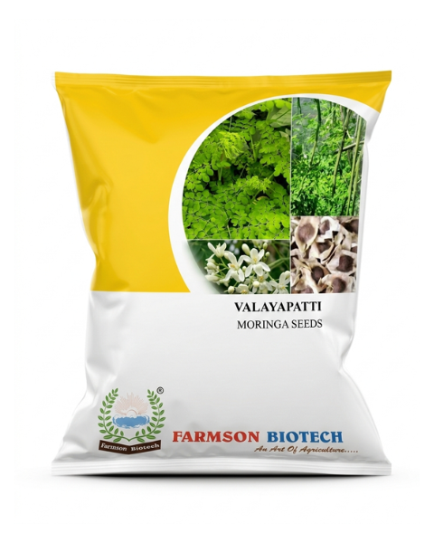 FB Valayapatti (Moringa) Drumstick Seeds