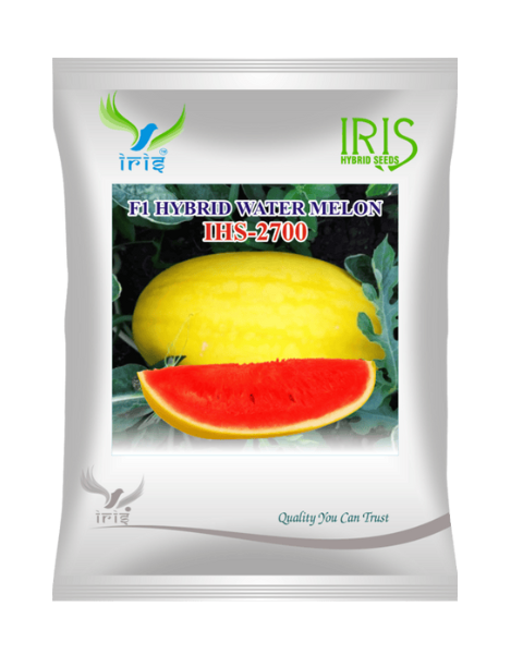 Iris Hybrid F1 Watermelon IHS-2700 Watermelon Seeds