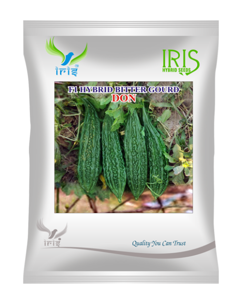 Iris F1 Hybrid Don Bitter Gourd Seeds