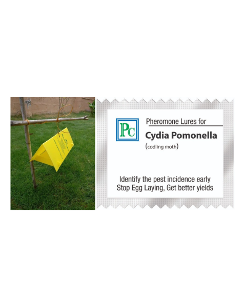 Pheromone Delta Trap and lure complete set for Cydia pomonella (Codling moth) - 10pack
