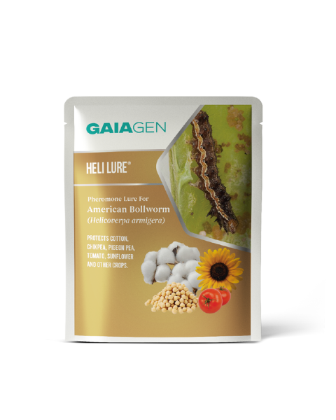 GAIAGEN Heli Lure® - Pheromone Lure for American Bollworm (Helicoverpa armigera) (Does not Include Traps)