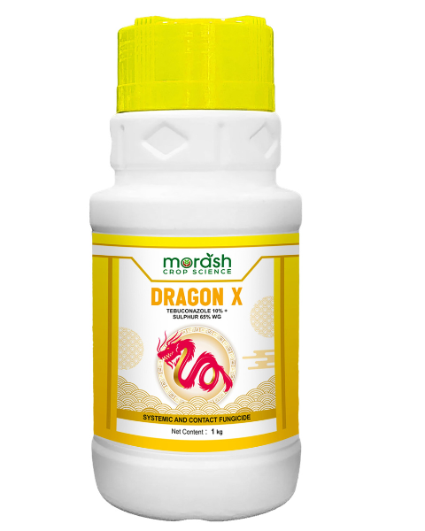 MORASH DRAGON X (Tebuconazole 10% + Sulphur 65% WG) Fungicides