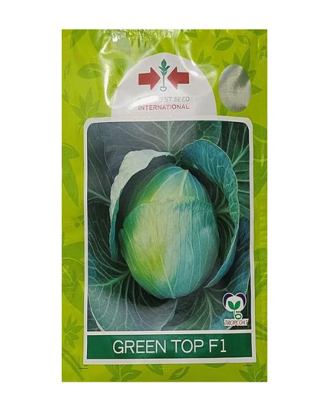 Green Top Cabbage Seeds