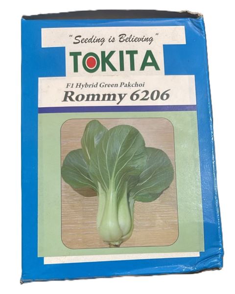 ROMMY 6206 F1 HYBRID GREEN  - Pak Choi