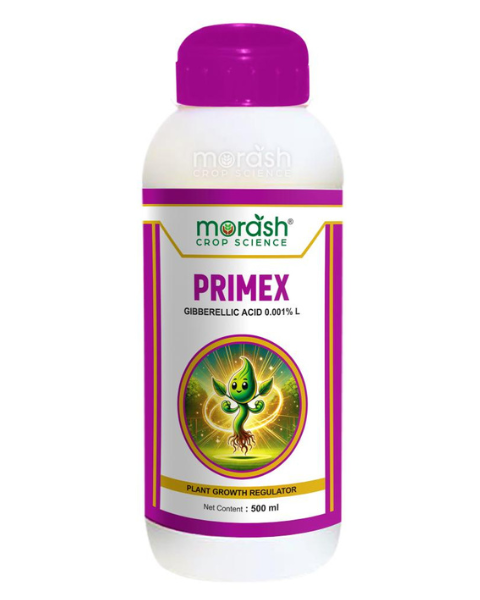 Morash PRIMEX (GIBBERELLIC ACID 0.001% L) Growth Regulators