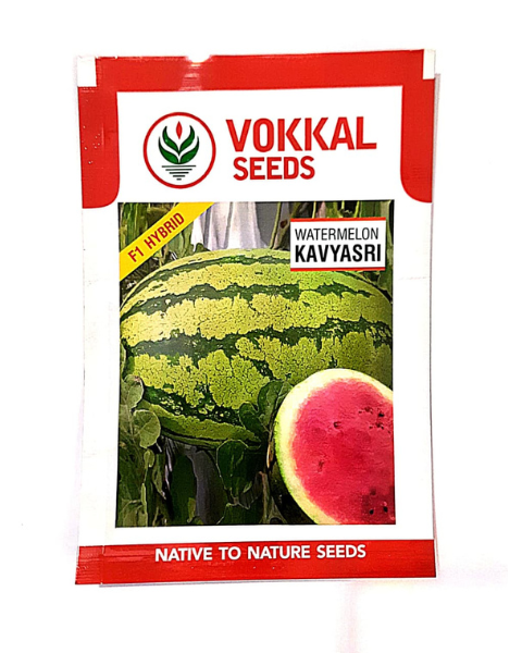 VOKKAL KAVYASRI Watermelon Seeds